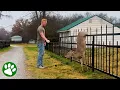 Young Man Lifts Deer Off Fence