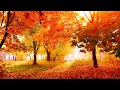 Download Lagu Relaxing Beautiful Instrumental Music, Peace Instrumental Music \