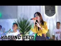 Lagu VIA AMELIA - KADUNG GELO ( OFFICIAL LIVE VA MUSIC ) #viaamelia #kadunggelo