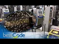 BestCode Coding and Marking Solutions in Living Color