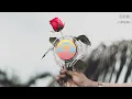 張韶涵 - 折斷玫瑰 (《匿殺》電影推廣曲)『親手摺斷了玫瑰，還問它為何枯萎，親口說的安慰，掩不住心的頹廢。』【動態歌詞MV】
