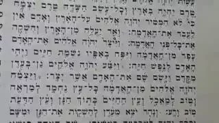 פרשת בראשית קריאה בתורה נוסח מרוקאי 