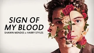 Download Shawn Mendes Vs. Harry Styles - \ MP3