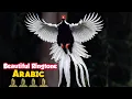 Most Beautiful Arabic Ringtone - Islamic Ringtones 2019 - New Arabic Ringtones 2019
