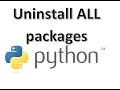 How to Uninstall ALL pip packages at once