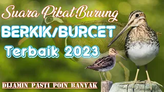 Download MP3 SUARA PIKAT BURUNG BERKIK/BURCET/PEKUNG TERBAIK 2023. PASTI POIN BANYAK MP3