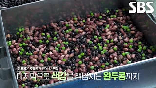 단백질 비중 높이기 위해 강낭콩×완두콩×서리태 가득 넣어 만드는 달인의 콩설기