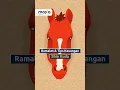 Download Lagu Siap-siap buat yang Shionya Kuda! 🐴 #shio #shiokuda #imlek #imlek2024 #yearofthedragon