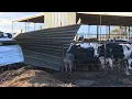 RAW footage of tornado damage in Galt California