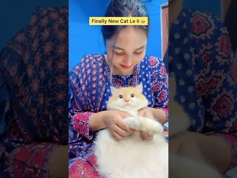 Finally New Cat le li 🤩 #shorts #viral #explorepage #relatable
