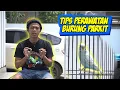 Download Lagu CARA MERAWAT PARKIT AGAR RAJIN BUNYI