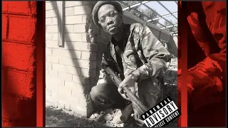 rashid kay stray bullets produced by dj malefactor 