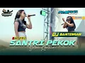 Download Lagu DINI KURNIA - SANTRI PEKOK | KRADENAN REBOUND x ONE PRO || FASKHO SENGOX AUDIO || ELITGM
