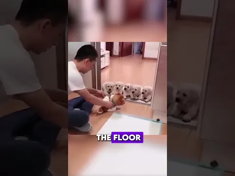 He does WHAT to teach his puppies 😳