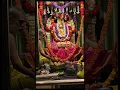 Download Lagu Sankatahara Chaturthi Pooja at Om Sakthi Temple Ramamurthy Nagar | Bangalore | Full HD