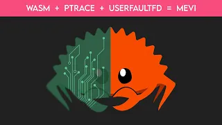 I built my own memory profiler in Rust on Linux