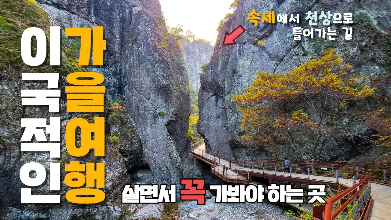 관련 영상 썸네일