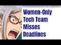 Women-Only Engineering Team Misses Deadlines CEO Goes Quiet 4Chan Greentext Stories