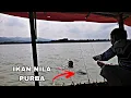 🔴Mancing Tebaru Di Waduk Sadawarna || Di Rakit Pak Surma Lingkar Timur Memang Mantap👍👍