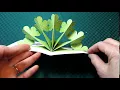 St Patrick s Day Shamrock Fan Pop Up Card