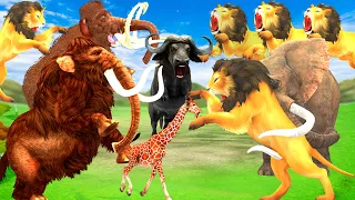 Five Lions Take Down a Giraffe Lions  Attack Cow Cartoon Buffalo Save By Woolly Mammoth Elephant