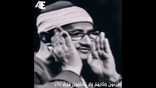 إحدى تجليات القارئ الباكي الشيخ محمد صديق المنشاوي المنشاوي 