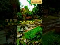 Download Lagu (Paint My Love/Michael Learns To Rock/Music video with lyrics,,kabayan tol, please subscribe 🥰