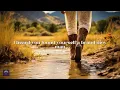 Bailey Zimmerman - Fall In Love (Lyrics)