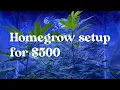 How to set up an indoor weed grow for 500