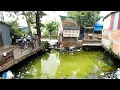 Download Lagu Complete Project Pushing soil into the house dirty site and Turn down the area to clean