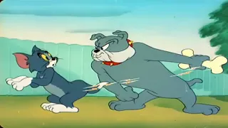 tom and jerry episode 6