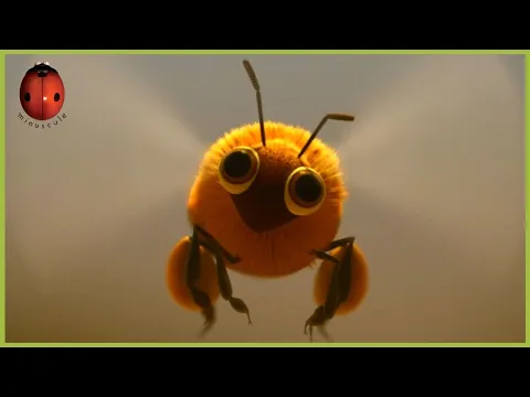 Gather More to Pollinate More | Minuscule