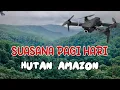 Download Lagu Hutan Amazon Drone di pagi hari, Pilot Drone Amatir