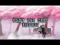 Download Lagu Can't You See - by Tiffany