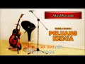 Download Lagu Nabila Razali - Peluang Kedua  Karaoke Versi Akustik 