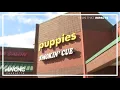 Charlotte pet store shut down after death of 11 puppies