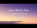 Shawn Mendes, Tainy - Summer Of Love (Radio Edit)