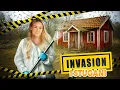 Download Lagu Aaaj då! 🪰🪰🪰  | VLOGG #604