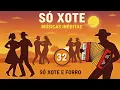 Xote, Baião, Forró, Xaxado - Músicas  Inéditas - Vol.32