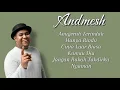 Download Lagu Kumpulan Lagu Andmesh