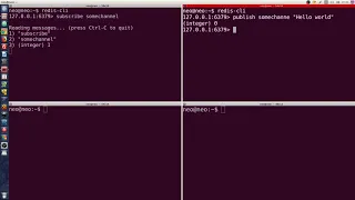 How to work with a Redis mechanism