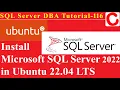 SQL Server DBA Tutorial 116 - Install Microsoft SQL Server 2022 in Ubuntu 22 04 LTS