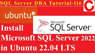 SQL Server DBA Tutorial 116 - Install Microsoft SQL Server 2022 in Ubuntu 22 04 LTS
