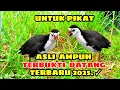 Download Lagu SUARA PIKAT✓ RUAK RUAK AMPUH ✓SEKALI BUNYI LANGSUNG DATANG✓ TERBARU 2025✓