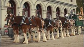 Samuel Adams Your Cousin From Boston Horses - 2021 Super Bowl Commercial
