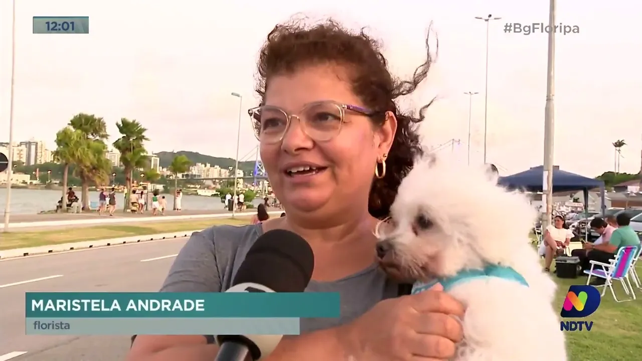 Turistas e moradores celebram 2023 com cascata de fogos da ponte Hercílio Luz, em Florianópolis