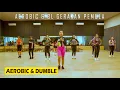 Download Lagu AEROBIC DANGDUT TERBARU GERAKAN PEMULA