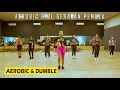 Lagu AEROBIC DANGDUT TERBARU GERAKAN PEMULA