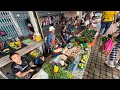 Download Lagu Singgah Sebentar Tamu Minggu Pasar Lachau Sebelum Meneruskan Perjalanan Balik ke Sri Aman