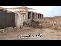 Donkey breeding and farming methods